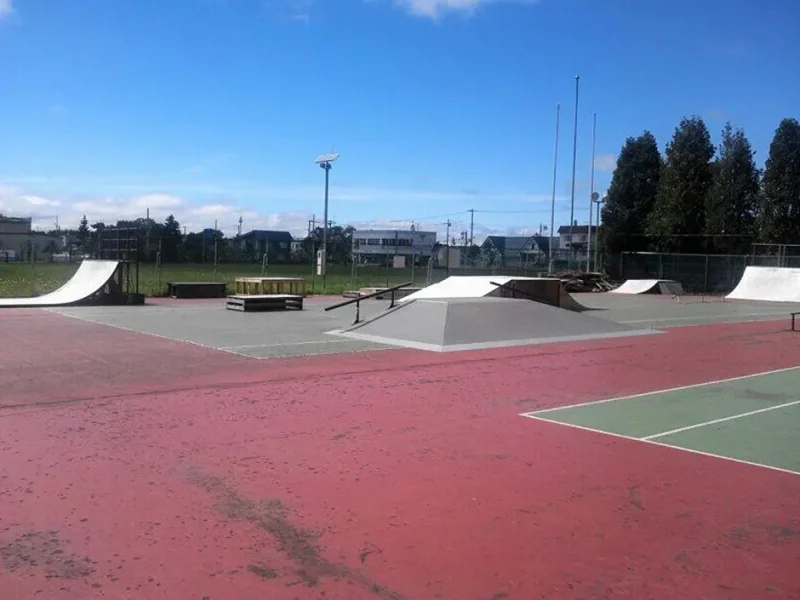 Kurisawa Central Park Skate Plaza (Kurisawa Skate Park)